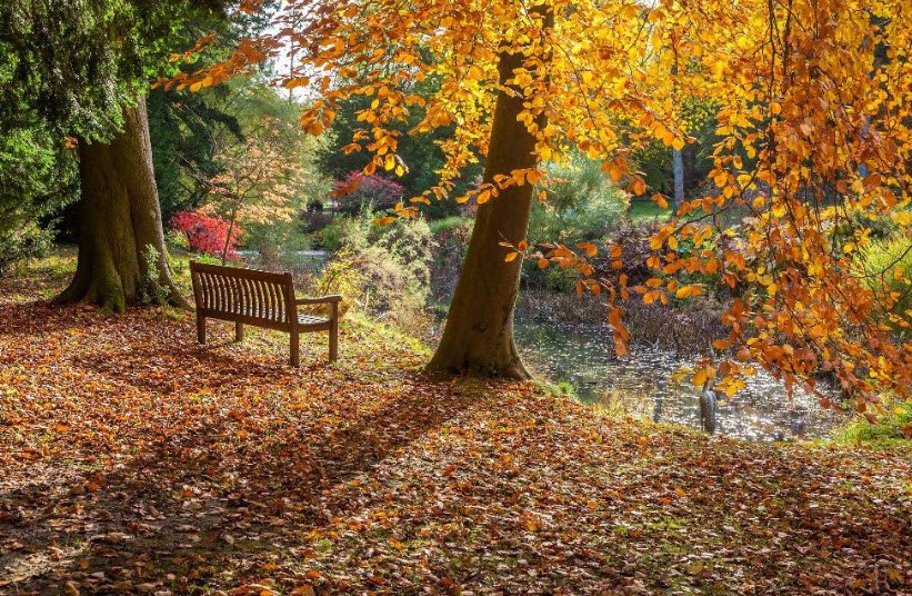 Thorp Perrow Arboretum, United Kingdom